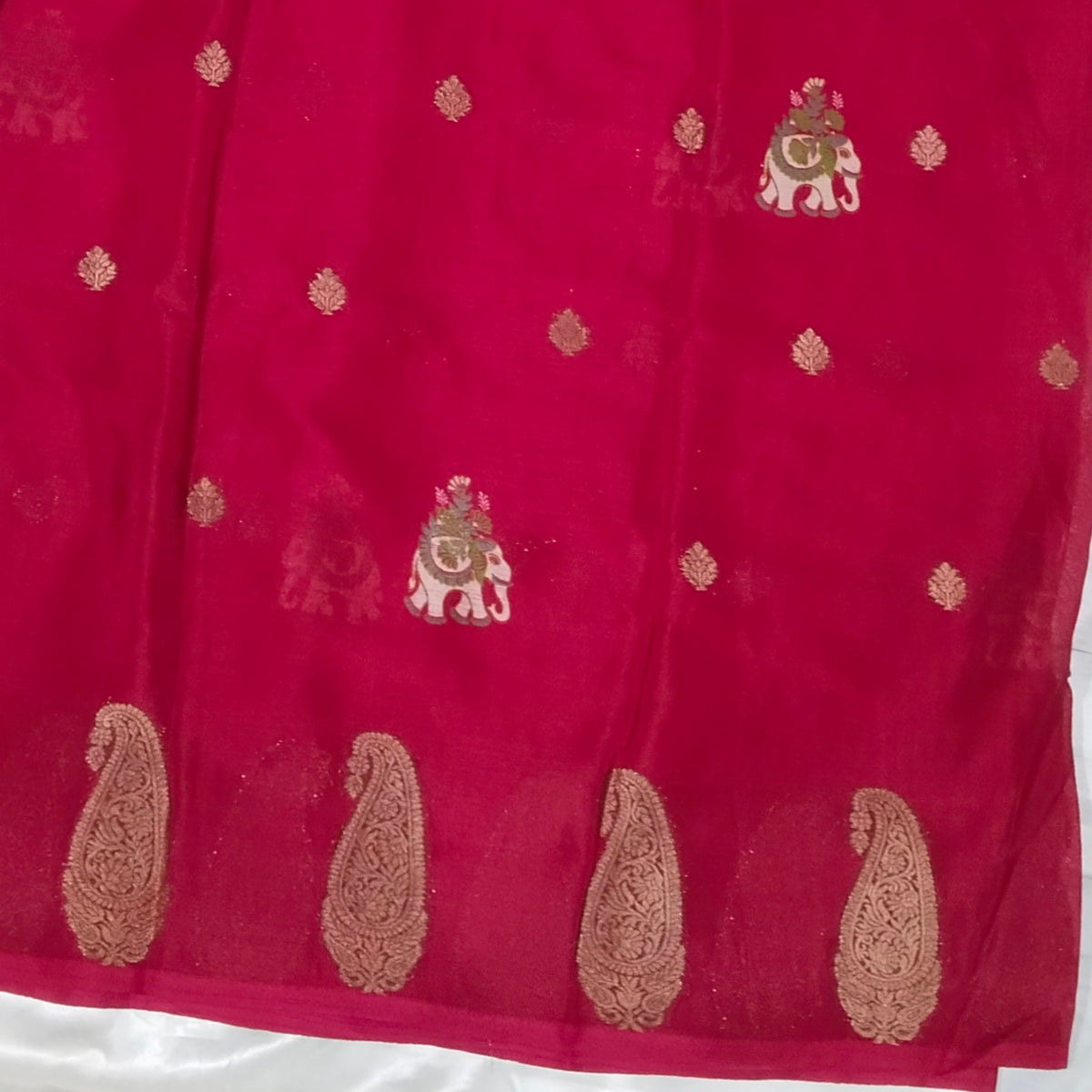 Chinnon Print Saree