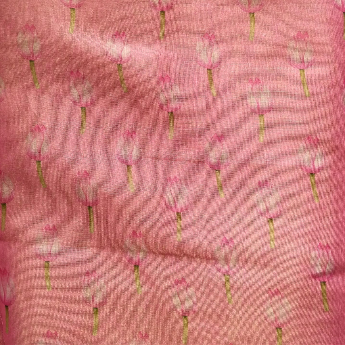 Linen Tissue Saree