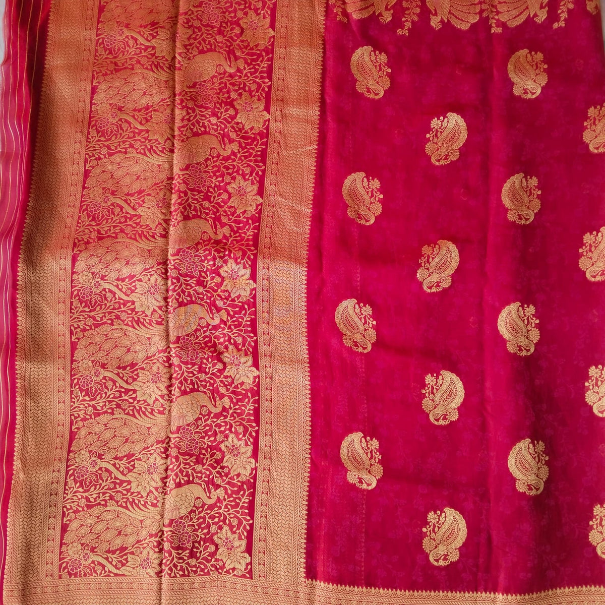 Organza Saree